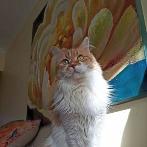 Meet your Posher, Ramona